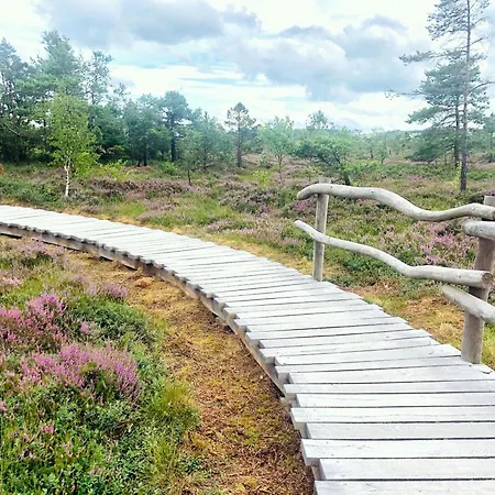 Rhoenzeit Apartements Und * Hilders