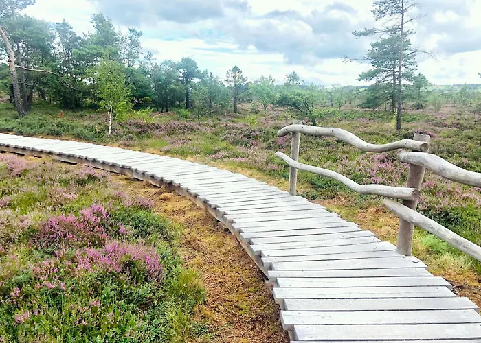 Rhoenzeit Apartements Und * Hilders